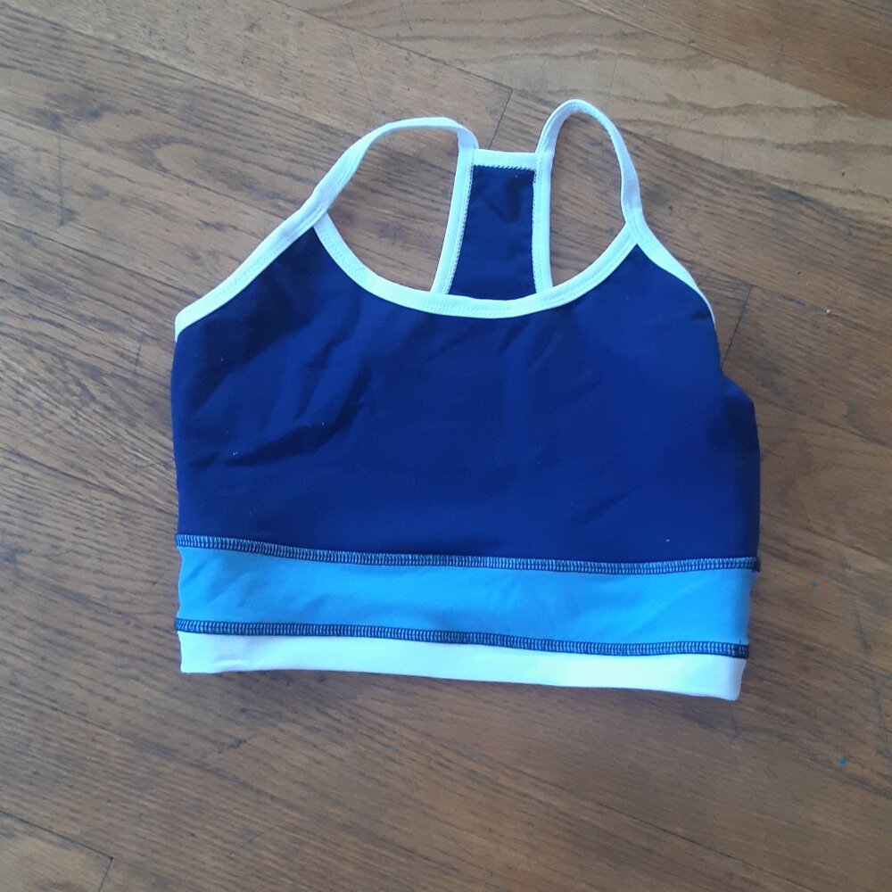 Blue and White New Electric & Rose Bra/ Crop Top